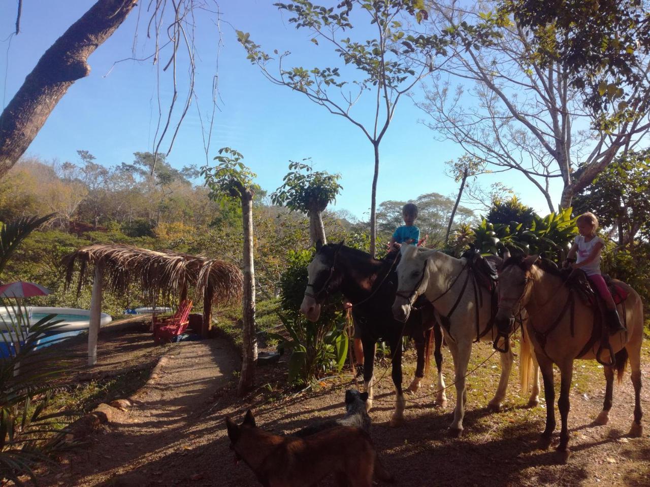 Fidelito Ranch & Lodge Tambor  Exterior foto